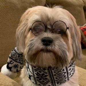 Meet your Posher, Vicki